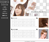 ev[gFsalon_h001t