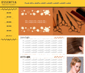 ev[gFsalon_h001t